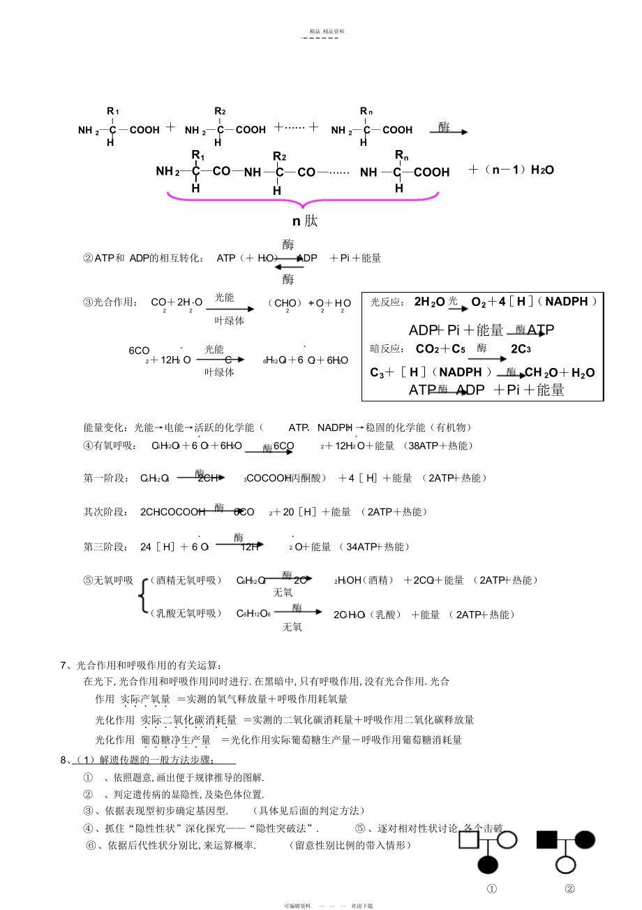 2022年高考生物知识点总结3.docx_第2页