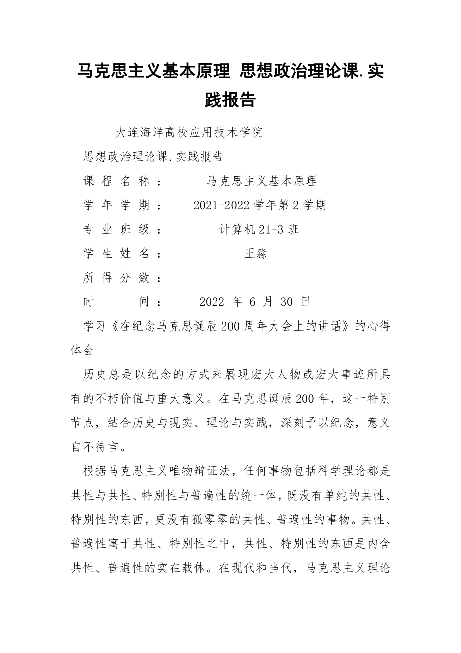 马克思主义基本原理 思想政治理论课.实践报告.docx_第1页