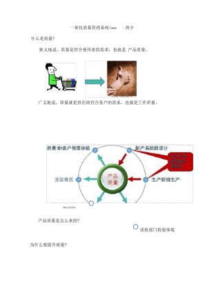 一体化质量管理系统简介.pdf