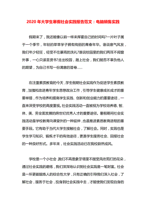 大学生寒假社会实践报告范文：电脑销售实践.docx