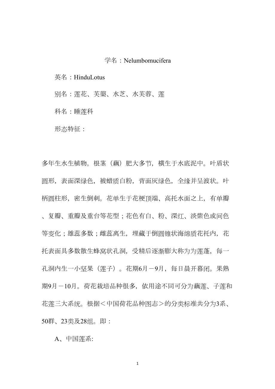 苏教版小学语文五年级教案参考——荷花－－花中仙子.docx_第1页