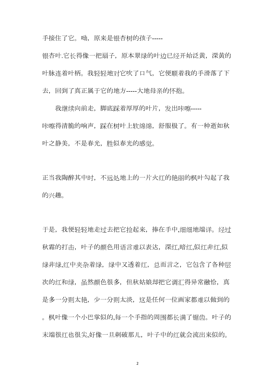 国标版五（上）语文习作３《秋天的树叶》范文1.docx_第2页