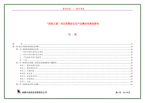 成都武侯大道项目前期定位及产品概念性策划报告.docx