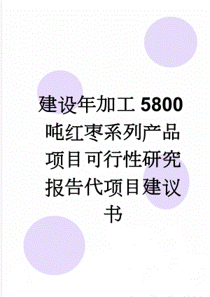 建设年加工5800吨红枣系列产品项目可行性研究报告代项目建议书(60页).doc