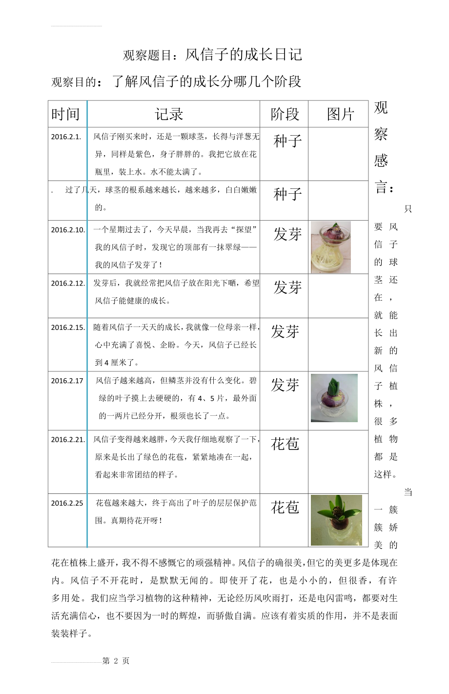 风信子观察日记(3页).doc_第2页