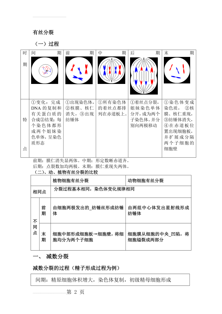 高中生物必修二有丝分裂_减数分裂详尽分析(8页).doc_第2页