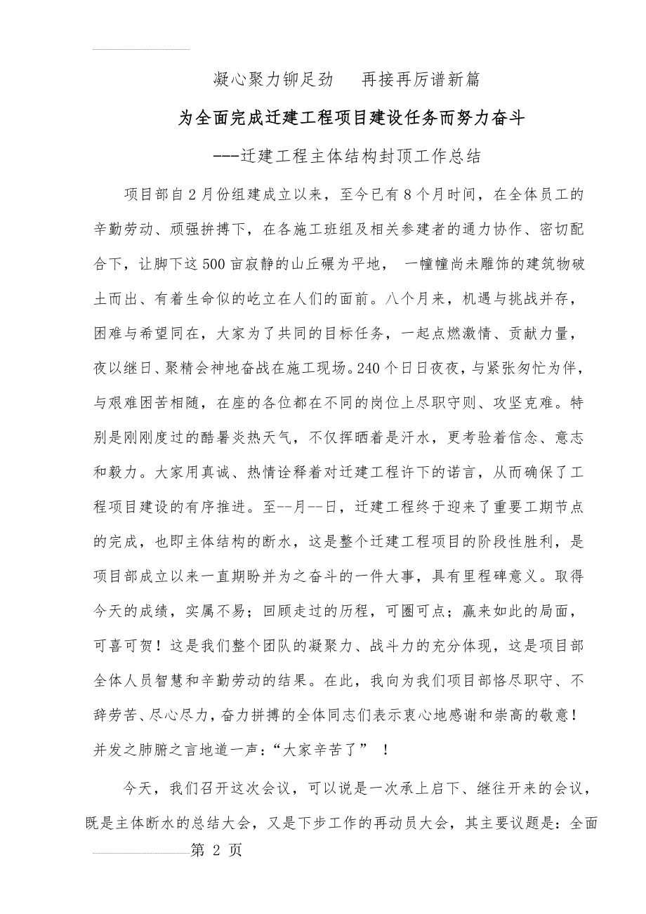 项目阶段性工作总结(21页).doc_第2页