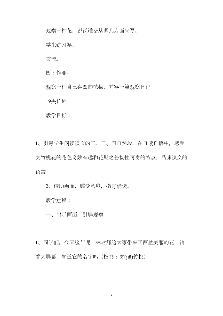 六年级语文教案——广玉兰3.docx_第2页