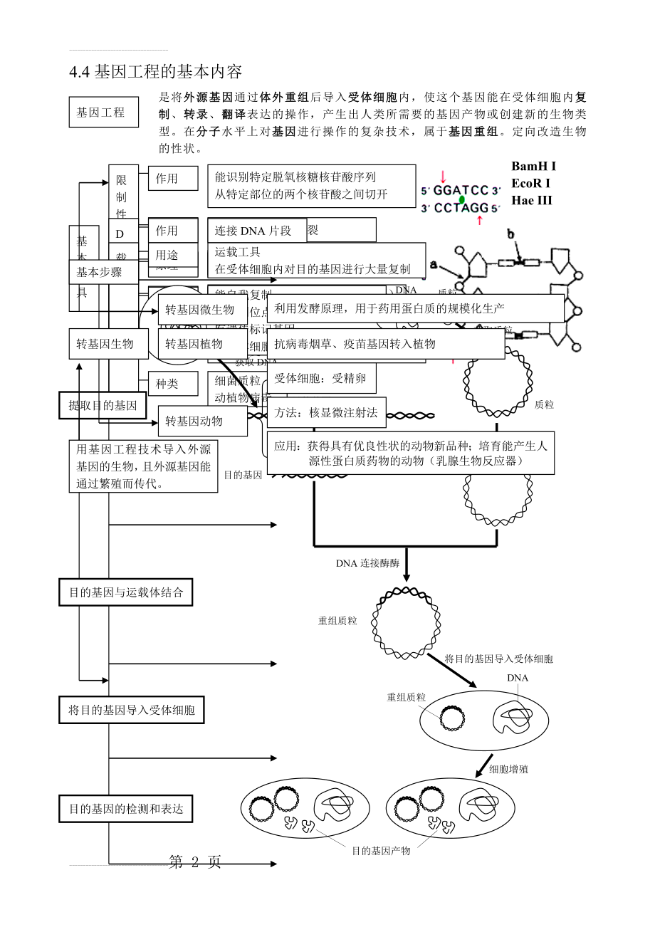 高中生物基因工程(2页).doc_第2页