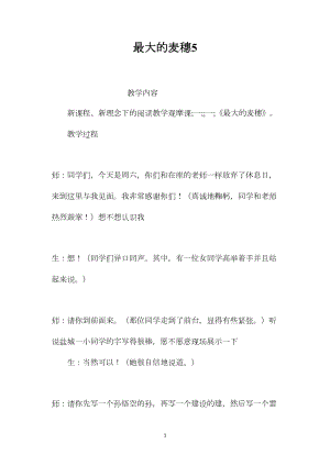 最大的麦穗5.docx