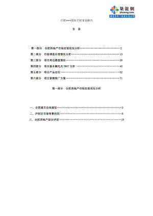 项目全程策划报告.docx