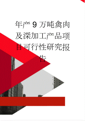 年产9万吨禽肉及深加工产品项目可行性研究报告(58页).doc