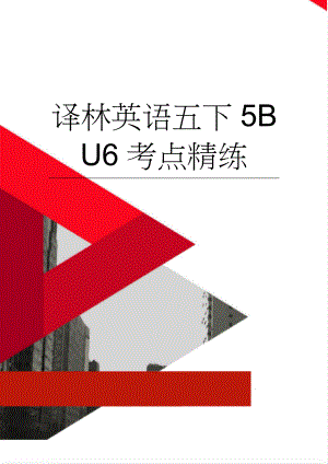 译林英语五下5B U6考点精练(6页).doc