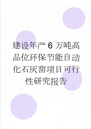 建设年产6万吨高品位环保节能自动化石灰窑项目可行性研究报告(47页).doc