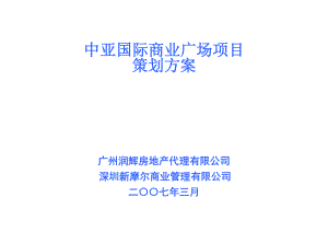 国际商业广场项目策划方案.docx