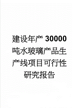 建设年产30000吨水玻璃产品生产线项目可行性研究报告(9页).doc