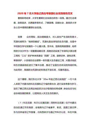 大学赴辽西北考察团社会实践报告范文.docx