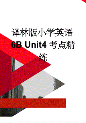 译林版小学英语6B Unit4考点精练(7页).doc