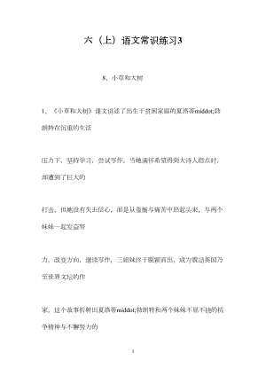 六（上）语文常识练习3.docx