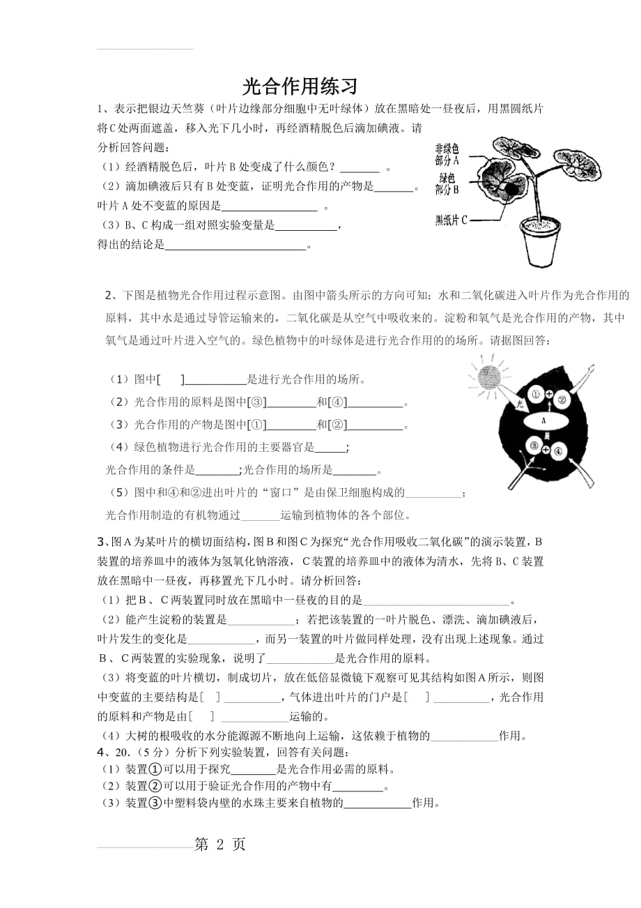 鲁教版初一生物 光合作用和呼吸作用练习(5页).doc_第2页