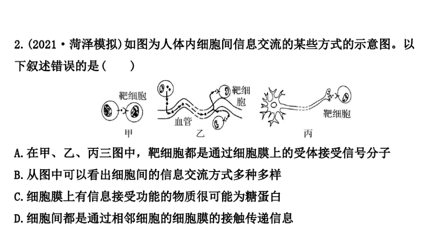 (新教材)2022版新高考生物人教版一轮复习作业课件：四 细胞膜和细胞核.pdf_第2页