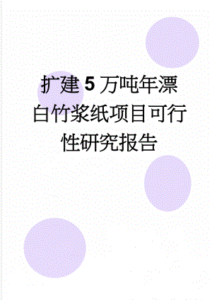 扩建5万吨年漂白竹浆纸项目可行性研究报告(84页).doc