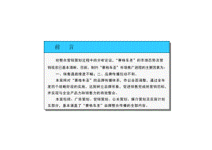 某品牌策划与整合传播计划概论.docx