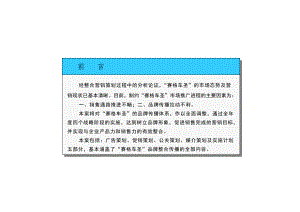 品牌整合传播策划方案.docx