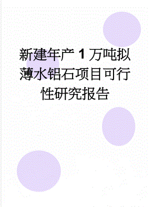 新建年产1万吨拟薄水铝石项目可行性研究报告(16页).doc