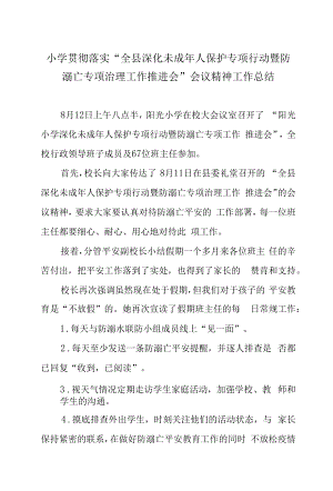 小学贯彻落实“全县深化未成年人保护专项行动暨防溺亡专项治理工作推进会”会议精神工作总结.docx