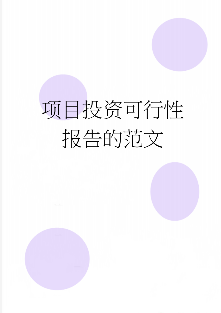 项目投资可行性报告的范文(3页).doc_第1页