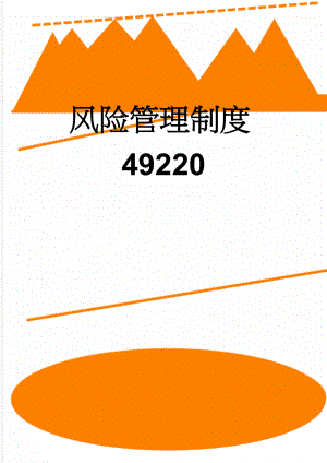 风险管理制度49220(22页).doc