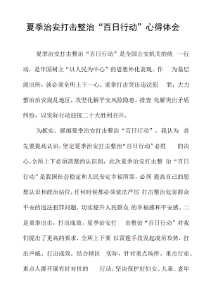 派出所所长夏季治安打击整治“百日行动”心得体会发言.docx