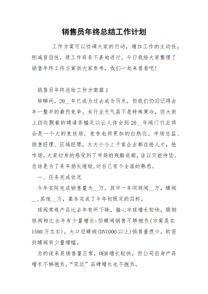 销售员年终总结工作计划.docx