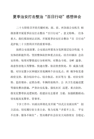 公安夏季治安打击整治“百日行动”学习心得体会十篇汇编.docx