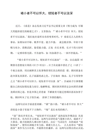 褚小者不可以怀大绠短者不可以汲深.docx