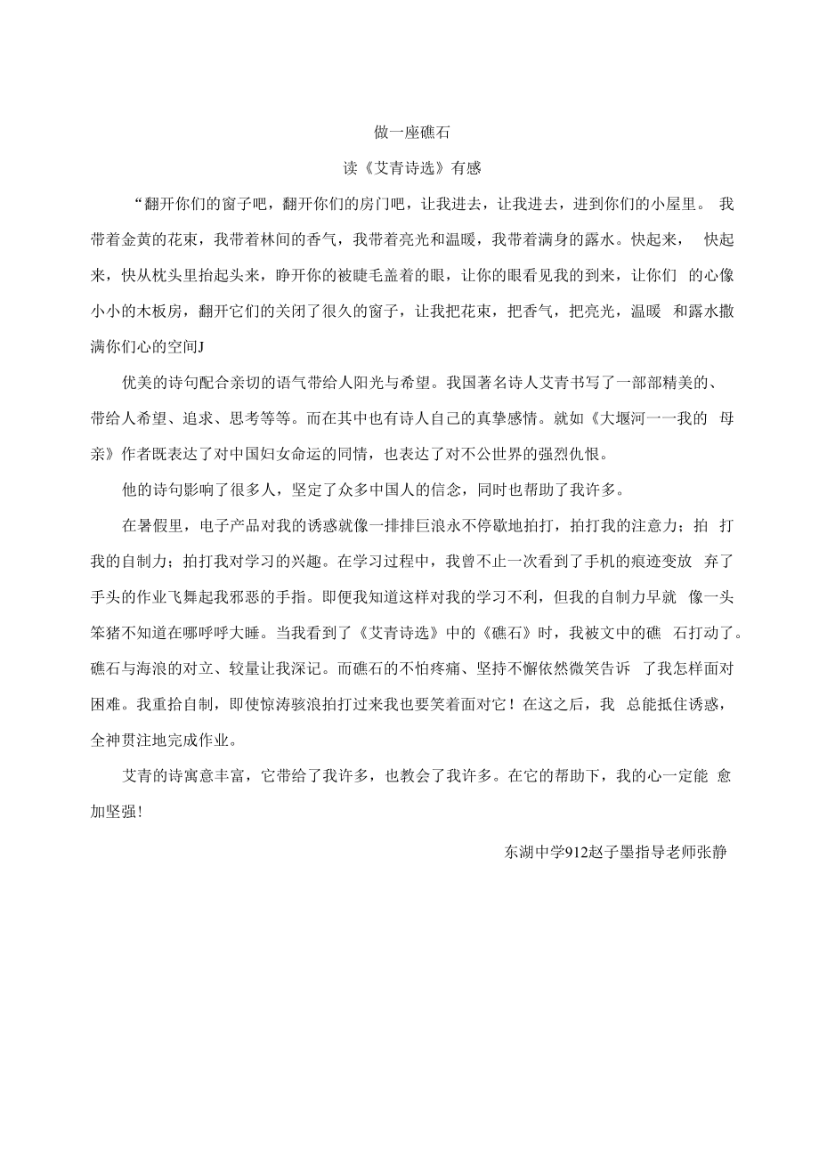 做一座礁石公开课.docx_第1页