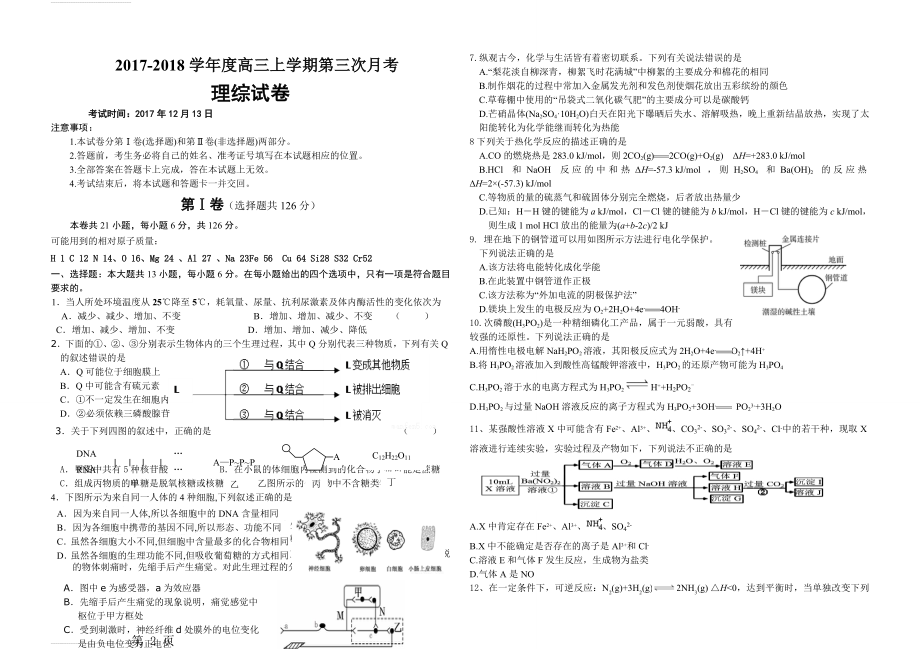 高三理综模拟试卷(带完整答案)(8页).doc_第2页