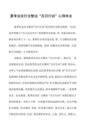 派出所所长夏季治安打击整治“百日行动”心得体会发言六篇.docx