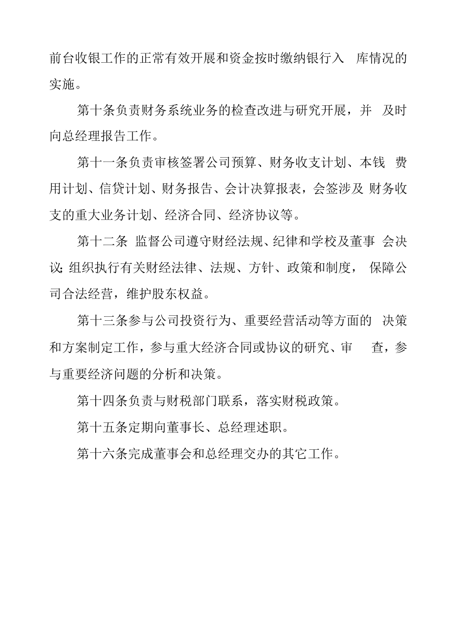 资产公司财务总监岗位职责.docx_第2页