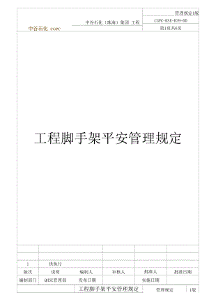 项目脚手架安全管理规定(试行).docx