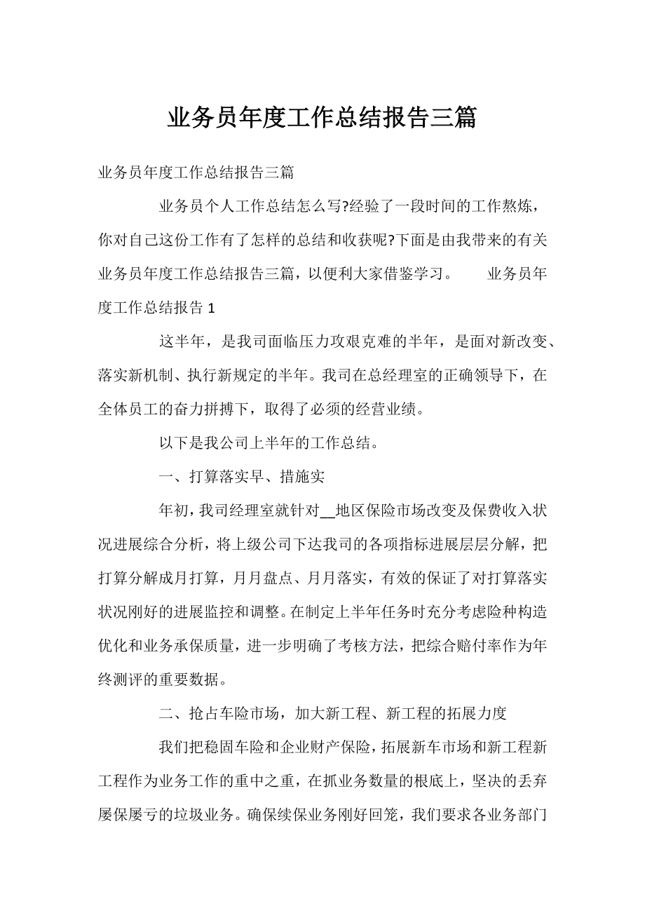 业务员年度工作总结报告三篇.docx_第1页