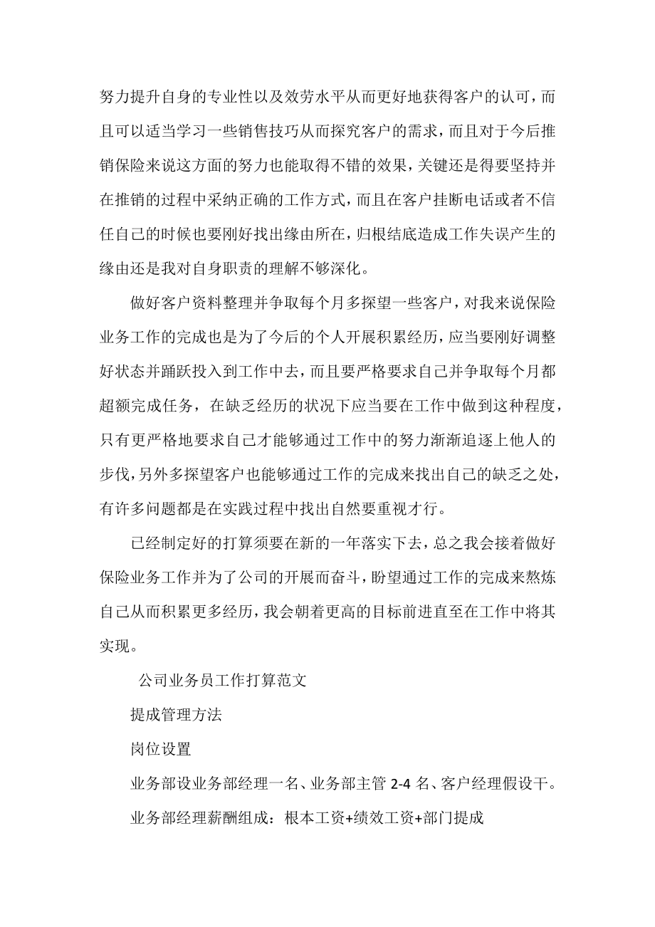 公司业务员工作计划范文三篇.docx_第2页