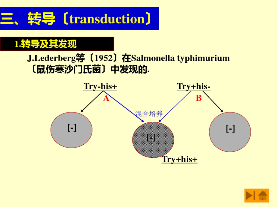 《基础微生物学》PPT课件.pdf_第1页