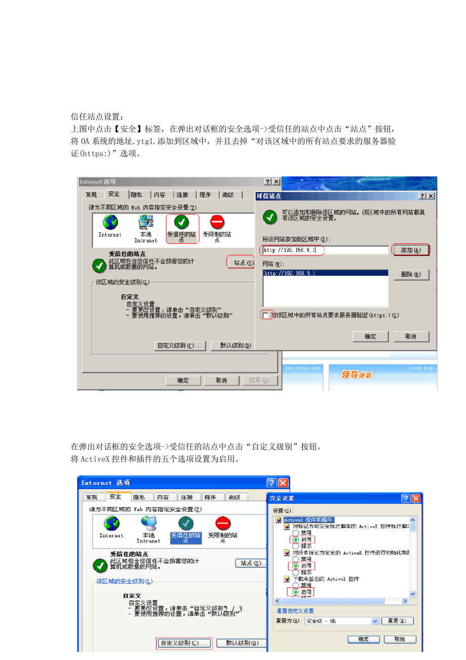 IE浏览器初始化设置.pdf_第2页