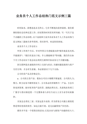 业务员个人工作总结热门范文示例三篇.docx