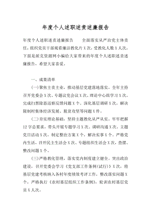 年度个人述职述责述廉报告.docx