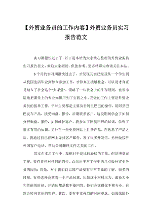 【外贸业务员的工作内容】外贸业务员实习报告范文.docx