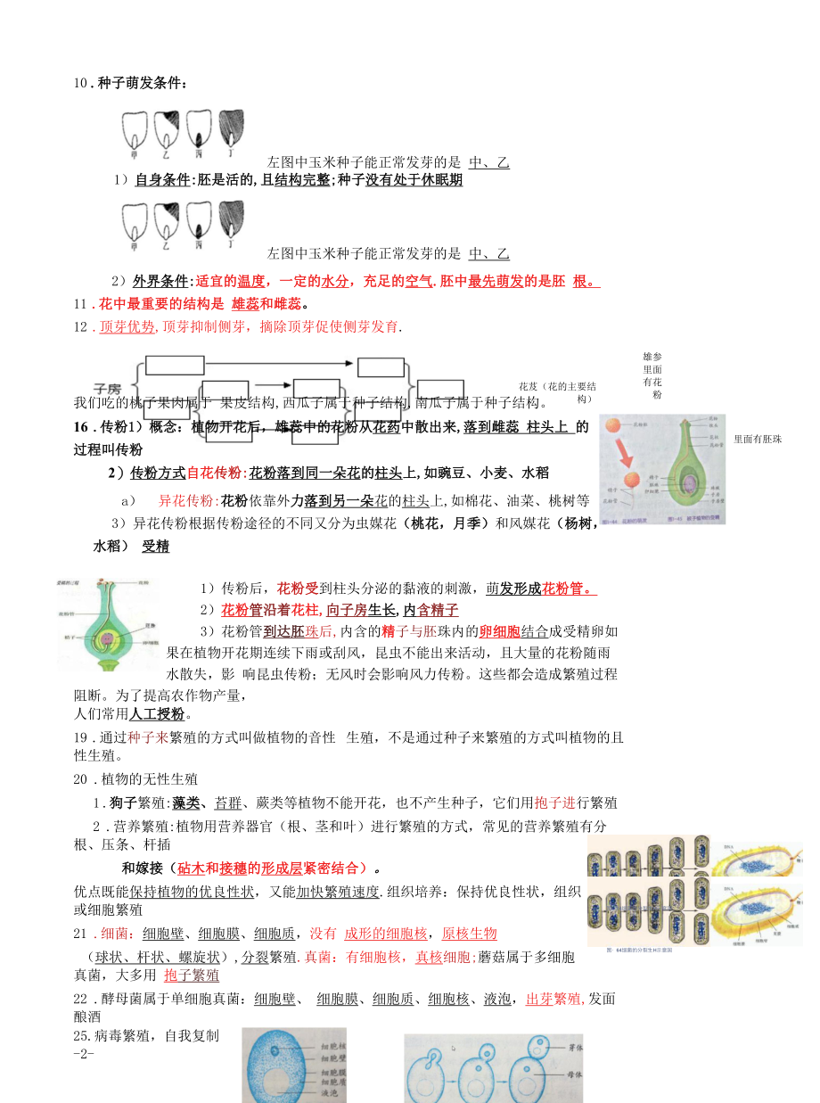 初中：浙教版七年级下册第一章 知识点.docx_第2页