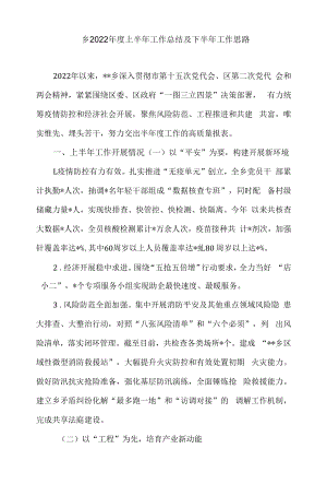 乡2022年度上半年工作总结及下半年工作思路.docx